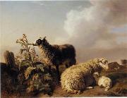 unknow artist Sheep 150 Sweden oil painting artist